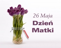 Egoiste Studio Urody